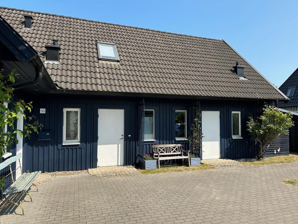 Ferienhaus Mit Sauna ツィングシュト エクステリア 写真