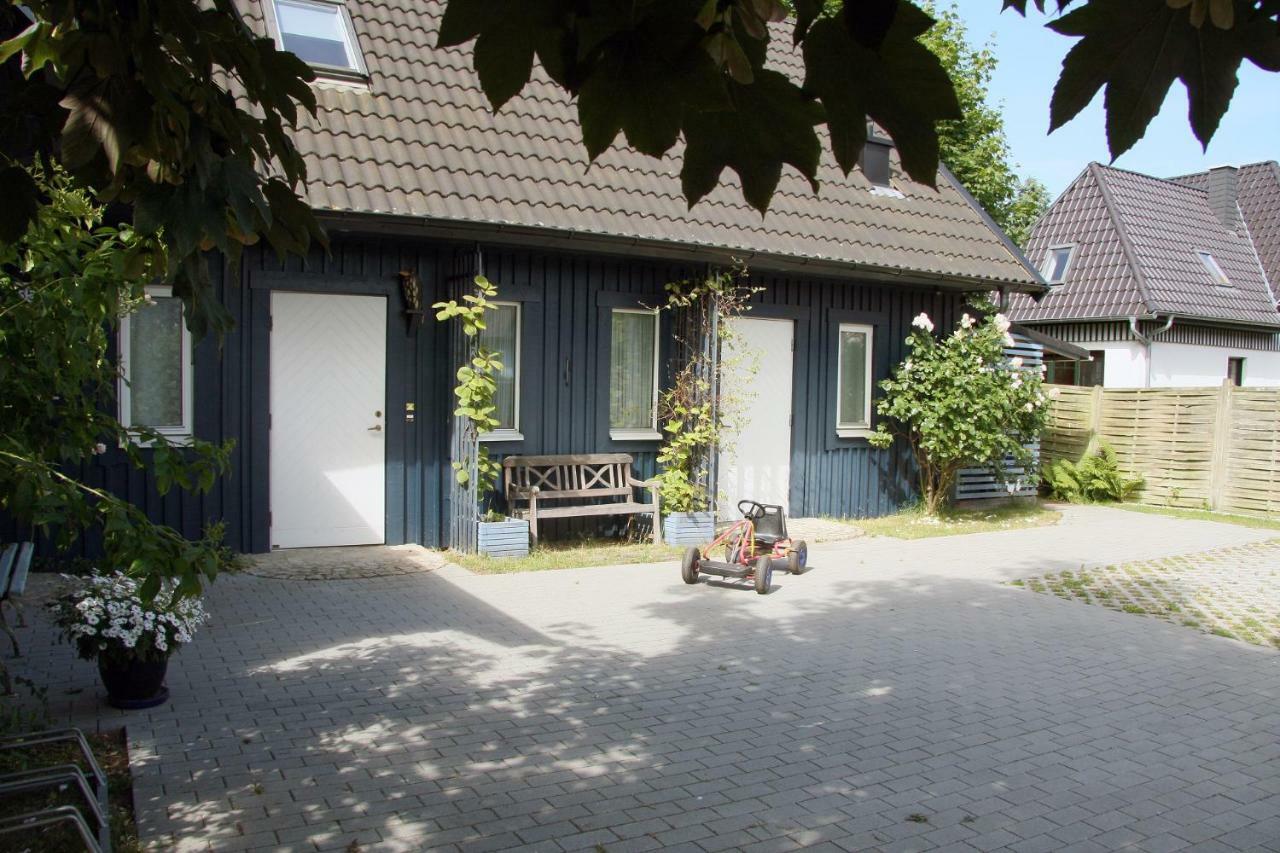 Ferienhaus Mit Sauna ツィングシュト エクステリア 写真